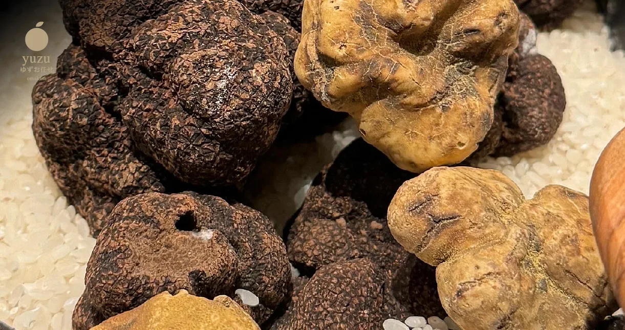 White Truffle