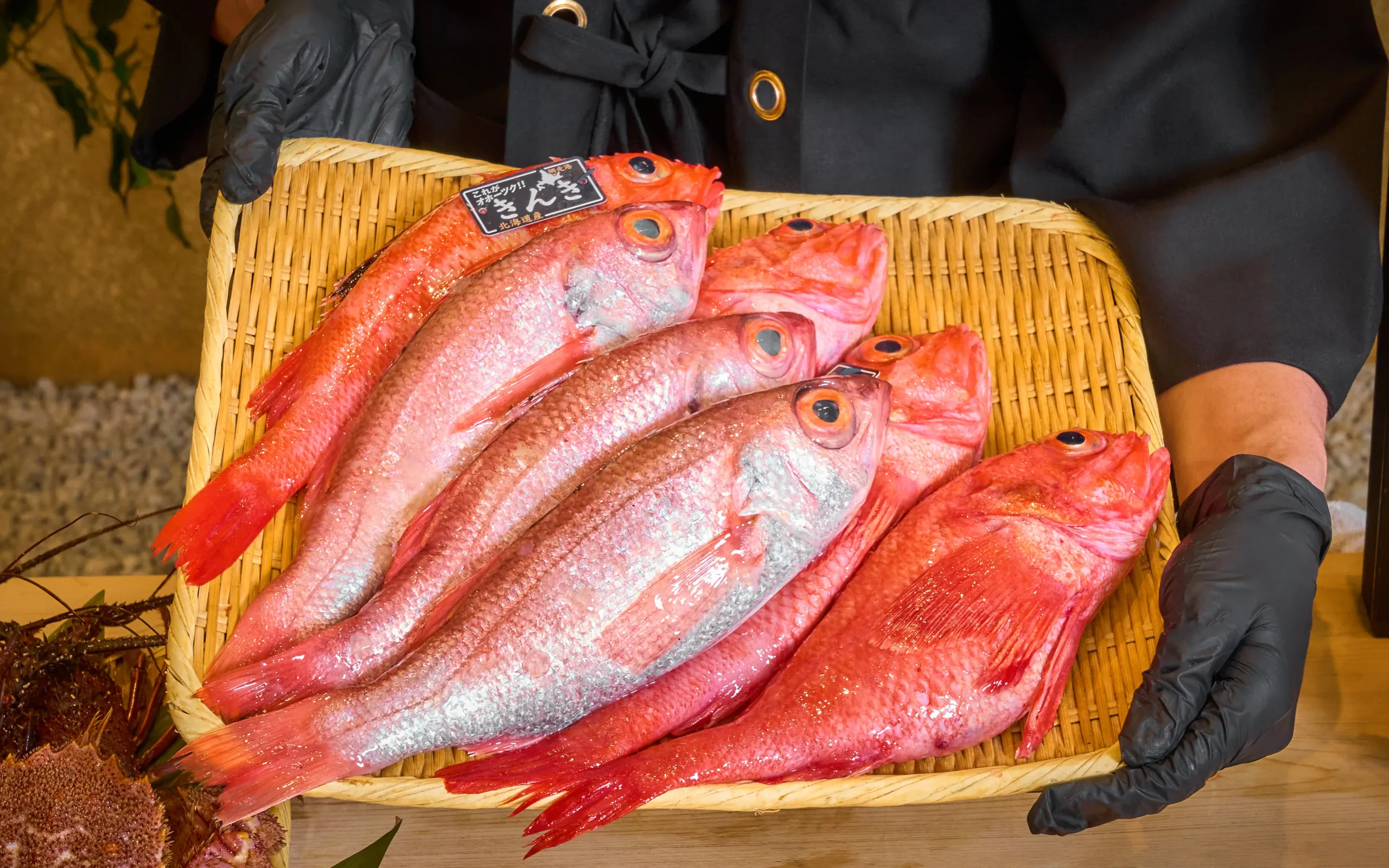 Omakase for Seafood Lovers