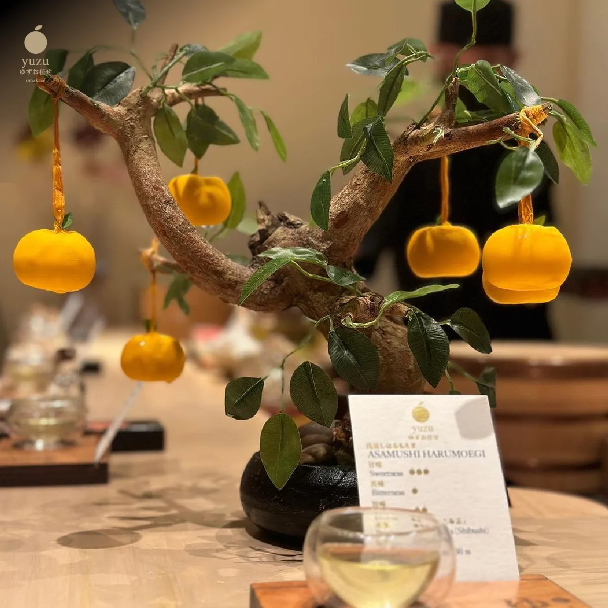 Yuzu Tree