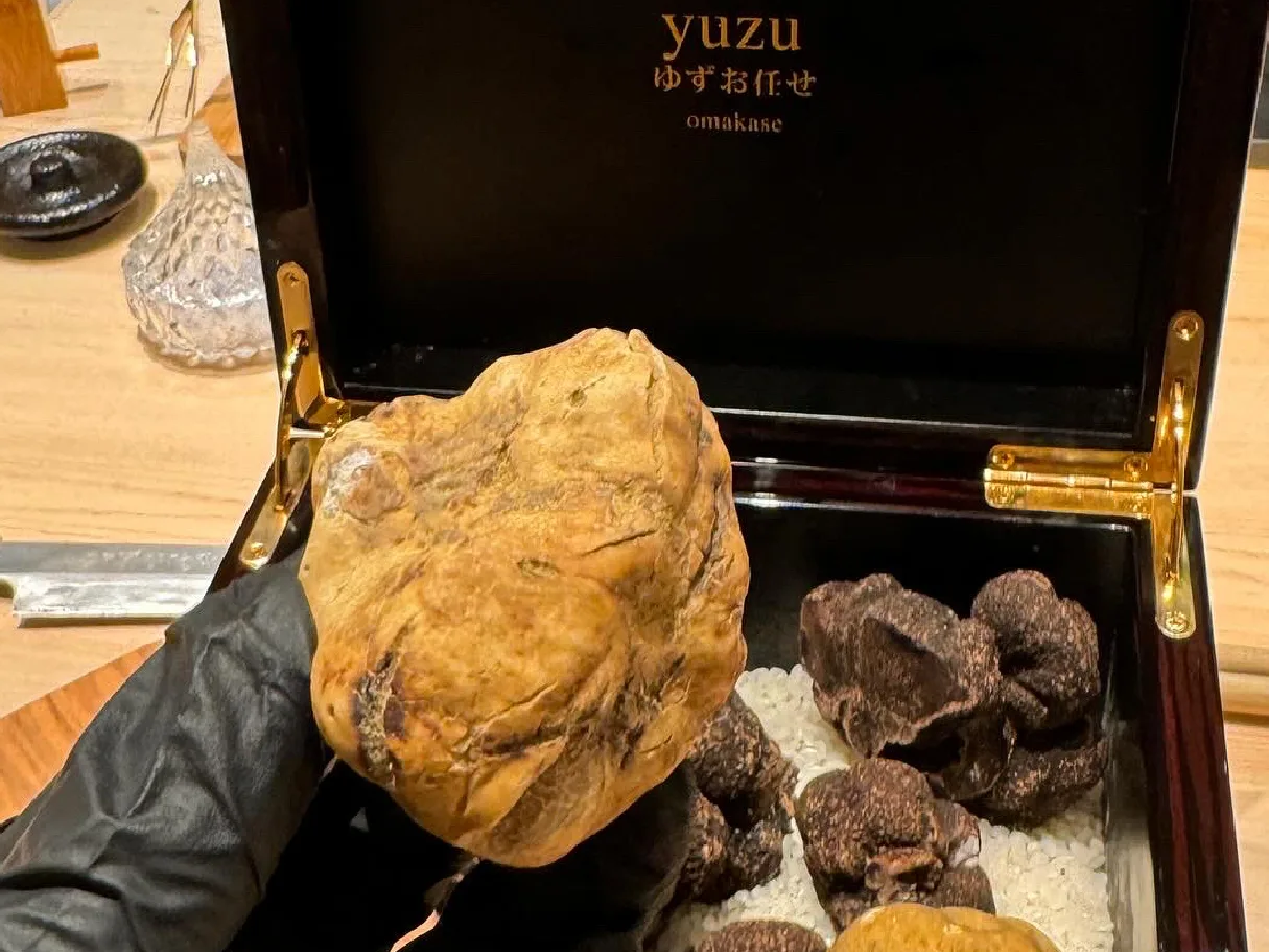 White Truffle